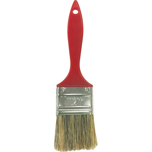 Industrial Grey Bristle Paint Brush, Bristle, Plastic Handle, 2" Width NRZ Safety Inc.
