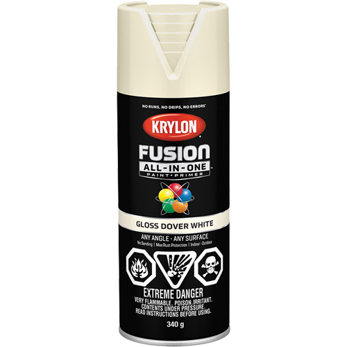 Fusion All-In-One Spray Paint, Dover White, Gloss, 12 oz., Aerosol Can NRZ Safety Inc.