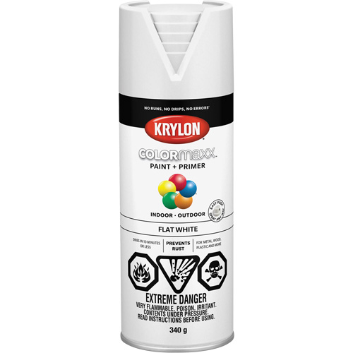 COLORmaxx Paint + Primer, White, Very Flat, 12 oz., Aerosol Can NRZ Safety Inc.