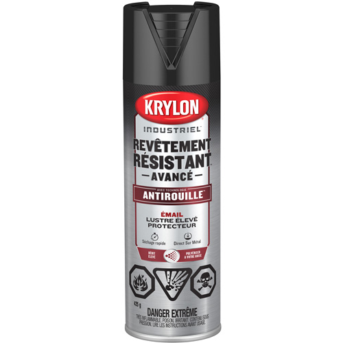 Peinture Tough Coat avec technologie Rust Barrier, Noir, Tr&egrave;s brillant, 425 g, Canette a&eacute;rosol NRZ Safety Inc.