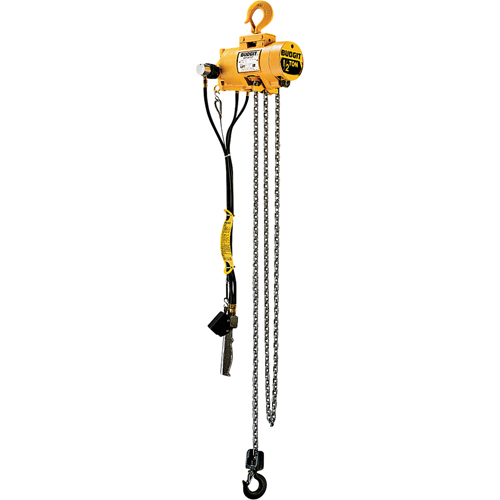Budgit&reg; Air Chain Hoists NRZ Safety Inc.