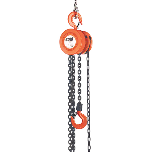 Chain Hoist, 20' Lift, 1000 lbs. (0.5 tons) Capacity, Steel Chain NRZ Safety Inc.