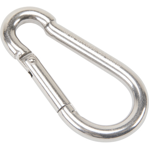Stainless Steel Snap Hook, 500 lbs (0.25 tons) Working Load Limit, 5/16" Size, 1/2" Eye NRZ Safety Inc.