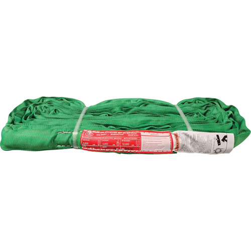 &eacute;lingue ronde en polyester, Vert, 12' lo, 6000 lb Charge verticale NRZ Safety Inc.