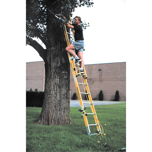 Industrial Heavy-Duty Extension Ladders (6200 Series), 375 lbs. Cap., 13' H, Grade 1AA NRZ Safety Inc.