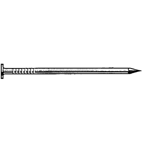 Common Hot Dip Galvanized Nails NRZ Safety Inc.