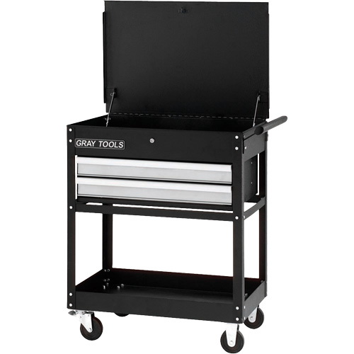 Utility Cart, 2 Drawers, 30-1/4" L x 19" W x 35-3/4" H, Black NRZ Safety Inc.