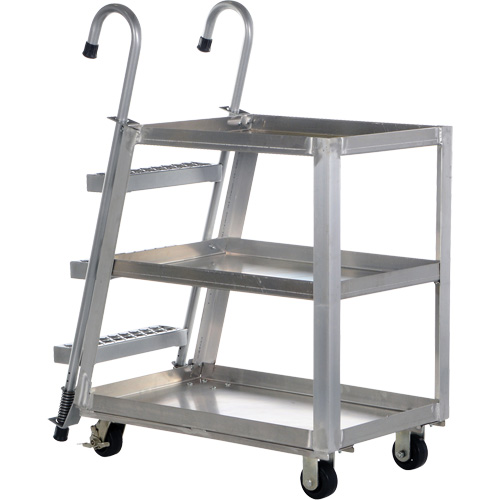 Chariot de pr&eacute;l&egrave;vement de stock, Aluminium, 21-7/8" la x 40" p, 3 tablettes, Capacit&eacute; 660 lb NRZ Safety Inc.
