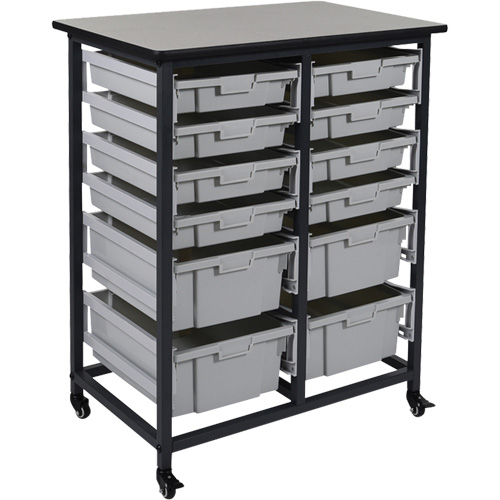 Mobile Bin Storage Unit, Single-sided, 12 bins, 30-3/4" W x 20" D x 37-1/2" H NRZ Safety Inc.