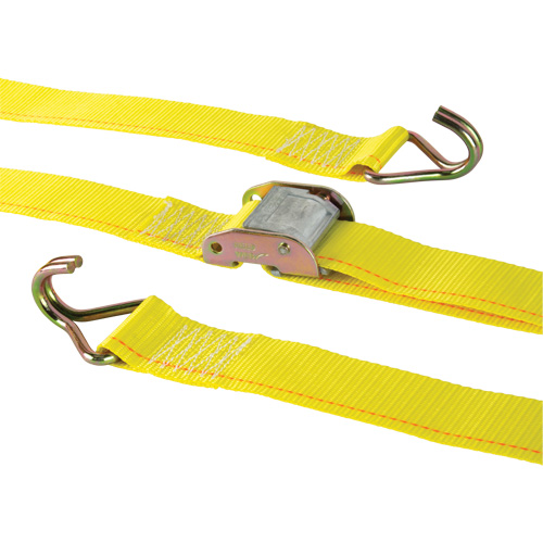 Tendeur d'arrimage &agrave; cliquet, Boucle &agrave; came, 2" la x 12' lo, Charge d'utilisation 500 lb (227 kg) NRZ Safety Inc.