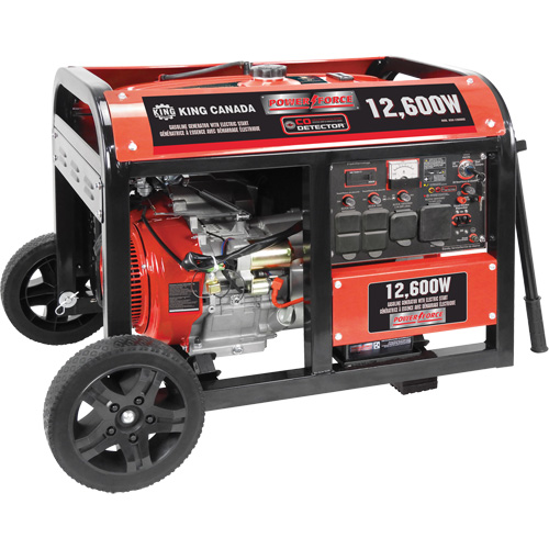 Gasoline Generator with Electric Start, 12600 W Surge, 9000 W Rated, 120 V/240 V, 31 L Tank NRZ Safety Inc.