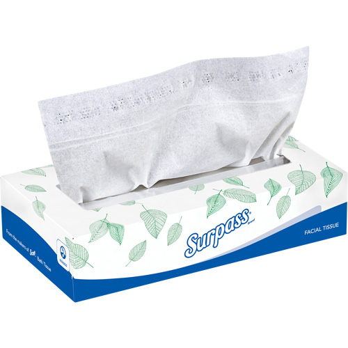 Mouchoirs Surpass, 2 pli, 8,3" lo x 7,8" la, 100 feuilles/boîte NRZ Safety Inc.