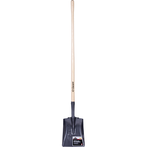 Pro Square Point Shovel, Wood, Tempered Steel Blade, Straight Handle, 48" Long NRZ Safety Inc.