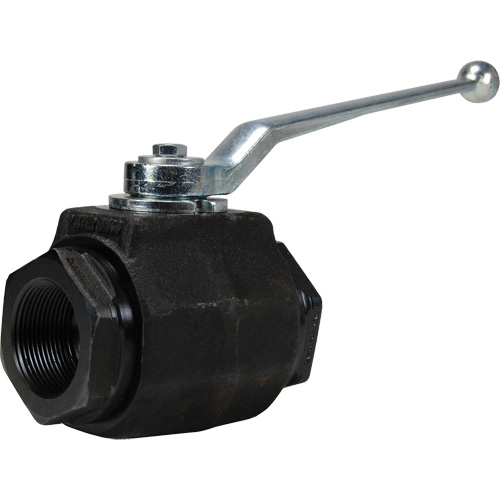High Pressure Full-Bore Ball Valve, Steel, Manual, FNPT x FNPT NRZ Safety Inc.