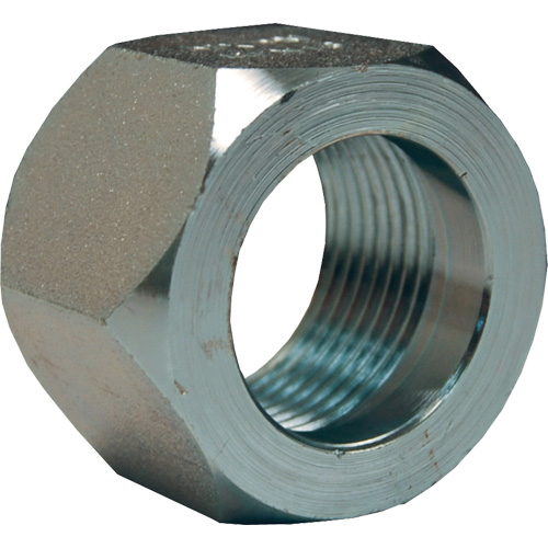 Dixon&reg; Mining Hex Nut, 1", Zinc Plated, NPT Thread NRZ Safety Inc.