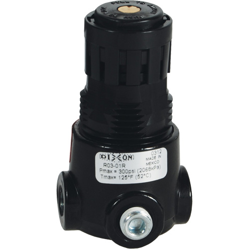 Wilkerson Miniature Regulator R03, 1/8" NPT, 300 psi Max. PSI, Standard NRZ Safety Inc.