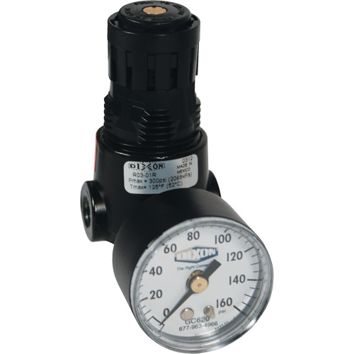 R&eacute;gulateur miniature R04 Wilkerson, 1/4" NPT, PSI max. de 300 psi, Standard NRZ Safety Inc.