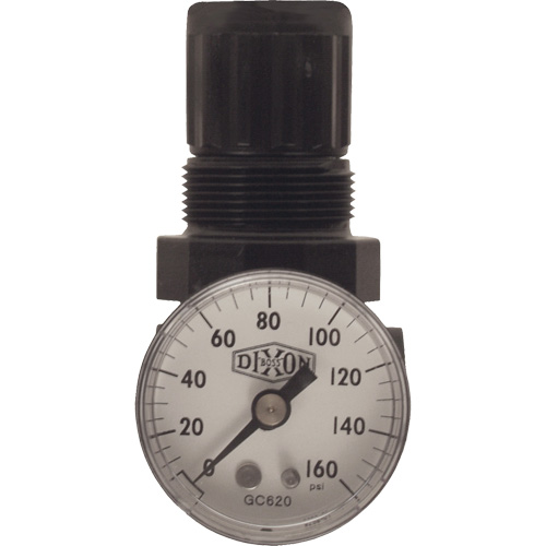 R&eacute;gulateur miniature de s&eacute;rie 1, 1/8" NPT, PSI max. de 100 psi, Standard NRZ Safety Inc.