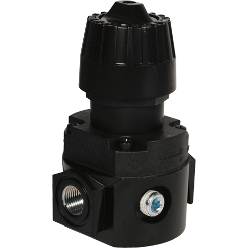 R&eacute;gulateur compact R16 Wilkerson, 1/4" NPT, PSI max. de 300 psi, Standard NRZ Safety Inc.