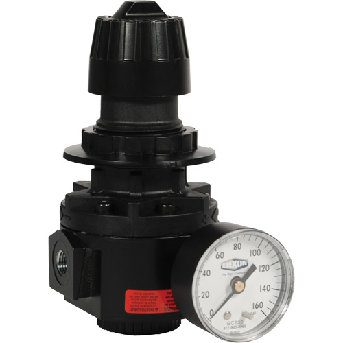 R&eacute;gulateur Wilkerson R26, 1/2" NPT, PSI max. de 300 psi, Standard NRZ Safety Inc.
