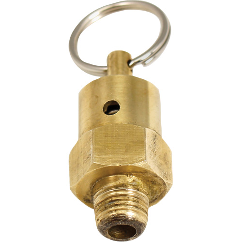 Viton&reg; Pressure Relief Valve NRZ Safety Inc.