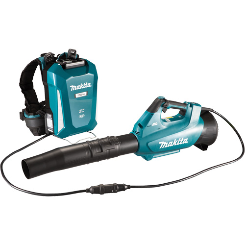 Souffleur turbo LXT (outil seulement), 18 V, Vitesse d'air 157 mi/h, &agrave; pile NRZ Safety Inc.