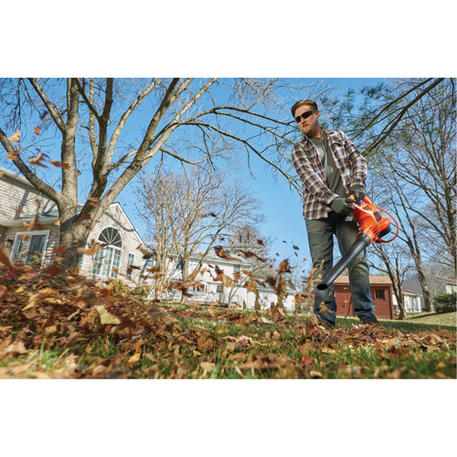 3-in-1 VacPack Leaf Blower/Vacuum/Mulcher, 250 MPH Output, Electric NRZ Safety Inc.