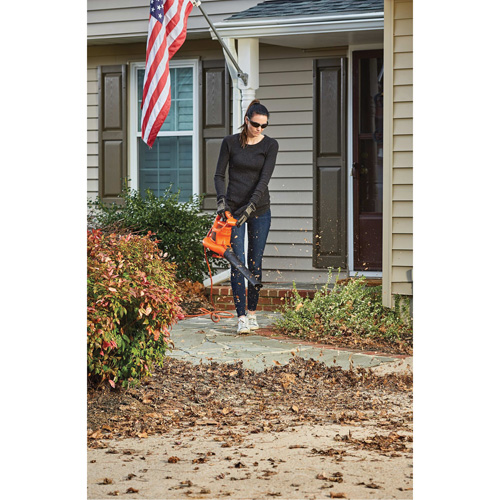 3-in-1 VacPack Leaf Blower/Vacuum/Mulcher, 250 MPH Output, Electric NRZ Safety Inc.