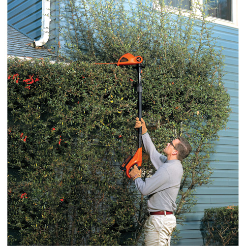 Ensemble de taille-haie sur perche sans fil Max* NRZ Safety Inc.