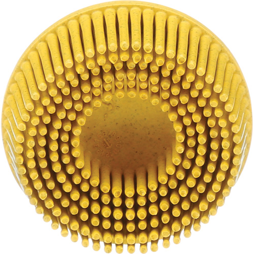 Scotch-Brite Roloc Bristle Disc, Ceramic, Medium Grit, 2" Dia. NRZ Safety Inc.