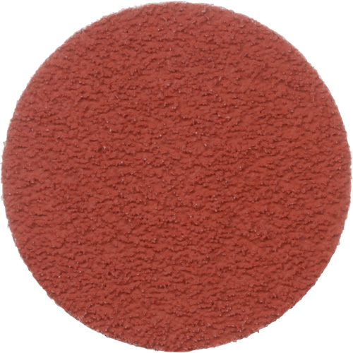 Cubitron II Roloc Durable Edge Disc, 2" Dia., 60+ Grit, Ceramic NRZ Safety Inc.