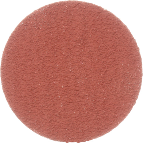 Cubitron II Roloc Durable Edge Disc, 2" Dia., 80+ Grit, Ceramic NRZ Safety Inc.
