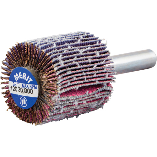 Shank Mounted Mini Flap Wheel, Ceramic Alumina, 120 Grit, 1" x 1" x 1/4" NRZ Safety Inc.