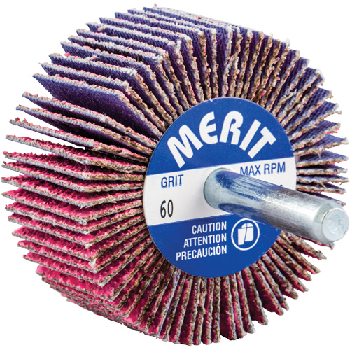 Shank Mounted Mini Flap Wheel, Ceramic Alumina, 60 Grit, 2" x 1" x 1/4" NRZ Safety Inc.