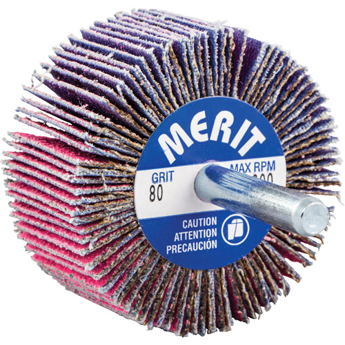 Shank Mounted Mini Flap Wheel, Ceramic Alumina, 80 Grit, 2" x 1" x 1/4" NRZ Safety Inc.