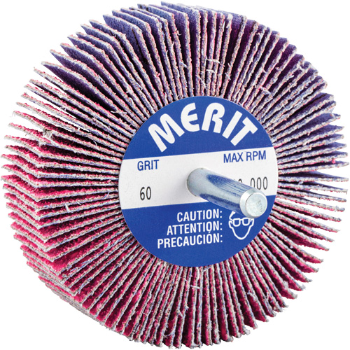 Mini-meule &agrave; lamelles mont&eacute;e sur tige, C&eacute;ramique d'alumine, Grain 60, 3" x 1" x 1/4" NRZ Safety Inc.