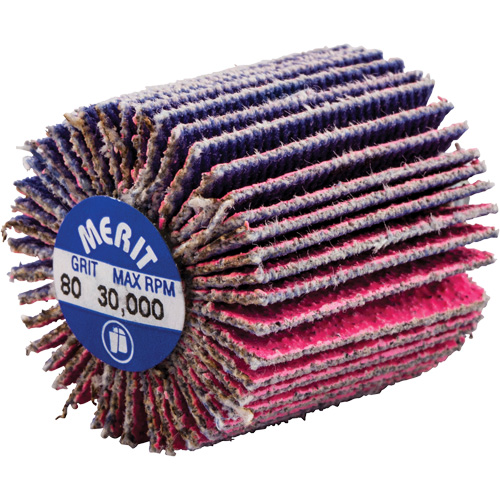 Mini-meule &agrave; lamelles filet&eacute;es, C&eacute;ramique d'alumine, Grain 80, 1" x 1" x 1/4"-20 NRZ Safety Inc.