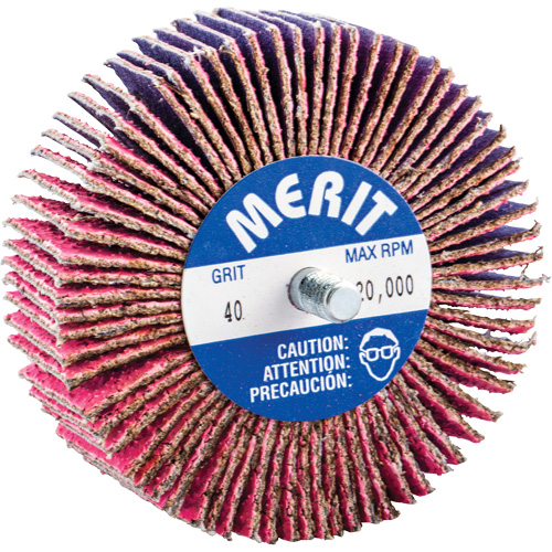 Threaded Mini Flap Wheel, Ceramic Alumina, 40 Grit, 3" x 1" x 1/4"-20 NRZ Safety Inc.
