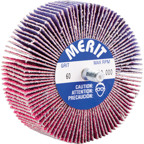 Threaded Mini Flap Wheel, Ceramic Alumina, 60 Grit, 3" x 1" x 1/4"-20 NRZ Safety Inc.