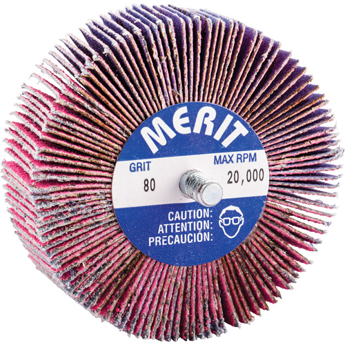 Mini-meule &agrave; lamelles filet&eacute;es, C&eacute;ramique d'alumine, Grain 80, 3" x 1" x 1/4"-20 NRZ Safety Inc.