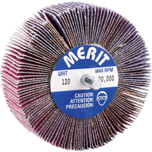 Mini-meule &agrave; lamelles filet&eacute;es, C&eacute;ramique d'alumine, Grain 120, 3" x 1" x 1/4"-20 NRZ Safety Inc.