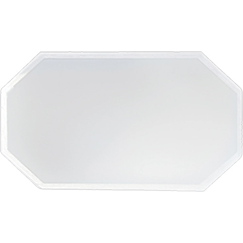 Replacement Plastic Shield for Suction & Pressure Cabinets NRZ Safety Inc.