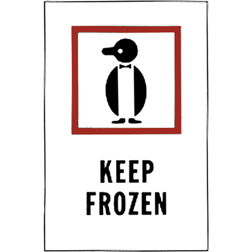 &eacute;tiquettes pour traitement sp&eacute;cial Keep Frozen, 6" lo x 4" la, Rouge/blanc NRZ Safety Inc.