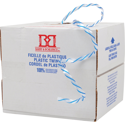 Ficelle d'arrimage, Polypropyl&egrave;ne, 1450' Longueur NRZ Safety Inc.