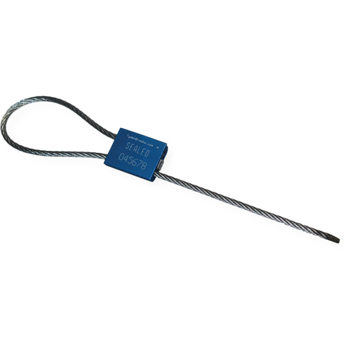 Scell&eacute; de s&eacute;curit&eacute; &agrave; c&acirc;ble Flexsecure FS35, 12", M&eacute;tal, Scell&eacute; &agrave; c&acirc;ble NRZ Safety Inc.