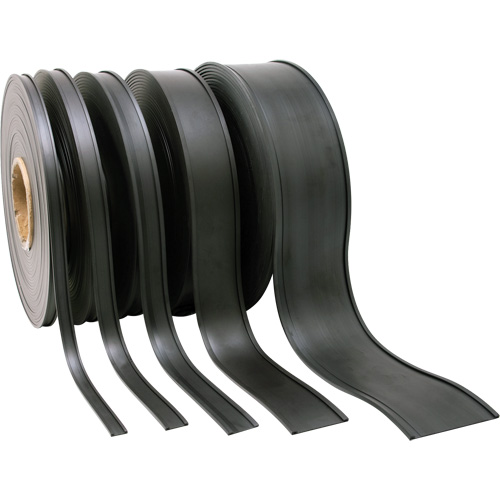 Porte-&eacute;tiquette, Magn&eacute;tique, 600" lo x 2" la NRZ Safety Inc.