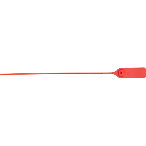 Scell&eacute; de s&eacute;curit&eacute; robuste, 13", Plastique, Scell&eacute; &agrave; tirer NRZ Safety Inc.