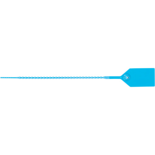 Scell&eacute; de s&eacute;curit&eacute; standard, 9", Plastique, Scell&eacute; en plastique NRZ Safety Inc.