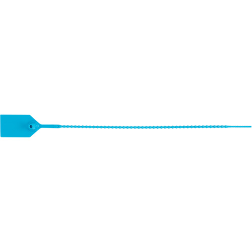 Scell&eacute; de s&eacute;curit&eacute; standard, 12", Plastique, Scell&eacute; en plastique NRZ Safety Inc.