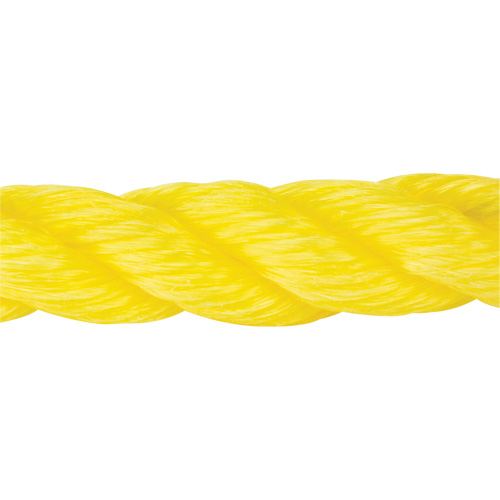 Corde jaune tress&eacute;e, Polypropyl&egrave;ne, 300' NRZ Safety Inc.